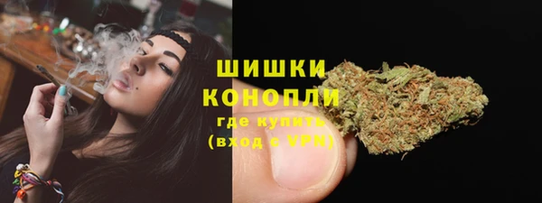 гидра Армянск