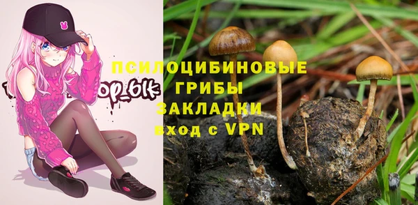 гидра Армянск